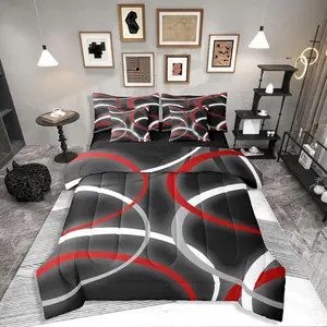 Red Circle Geometric Black Grey Comforter Bed Set,7 Pieces Abstract Modern Art Bed Bag,Aesthetic Swirls Stripes Bed Set,Girls Women Kids Adults Bedding