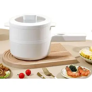 2L Electric Hot Pot & Steamer, Mini Multi-Function Electric Ramen Cooker, Adjustable 350W/700W, Non-Stick Ceramic, Portable for Dorm, RV & Camping