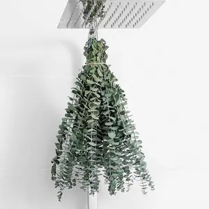 10 Pcs Dried Eucalyptus Stems 17" Real Eucalyptus for Shower Hanging 100% Made from Fresh Leaves, Wedding, Home, Farmhouse, DIY Spring Decor Bathroom Decor Home Decor