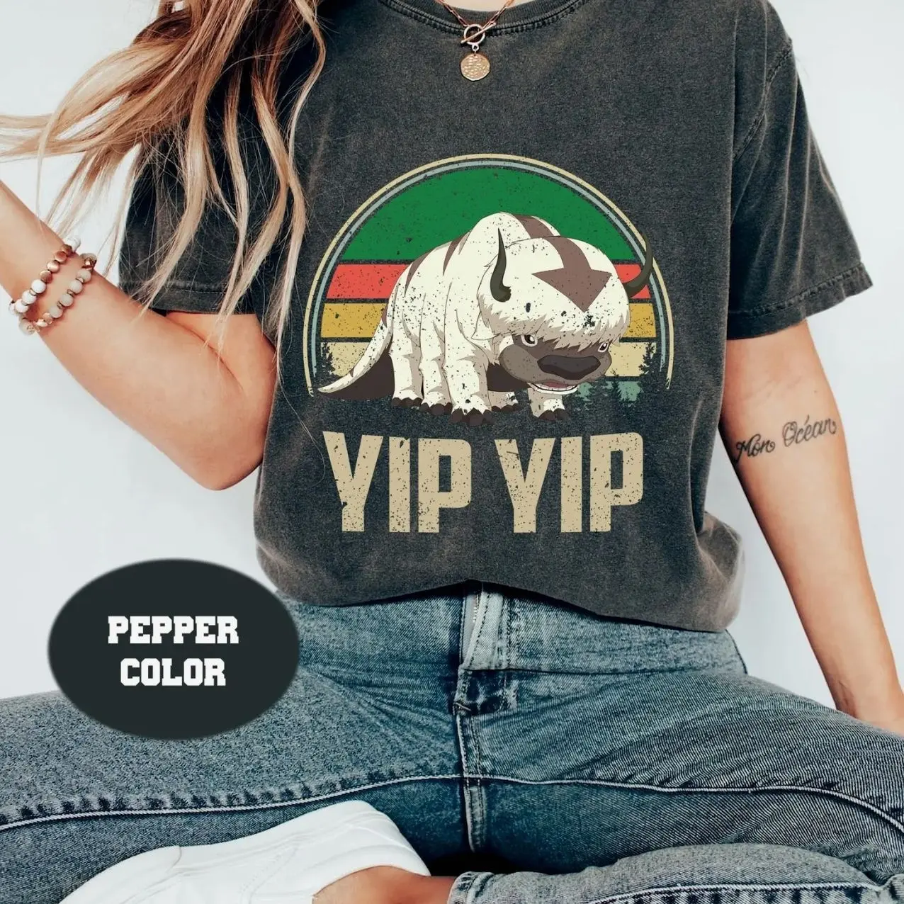 Appa Sky Bison Yip Yip Vintage Tee, Unisex Shirt
