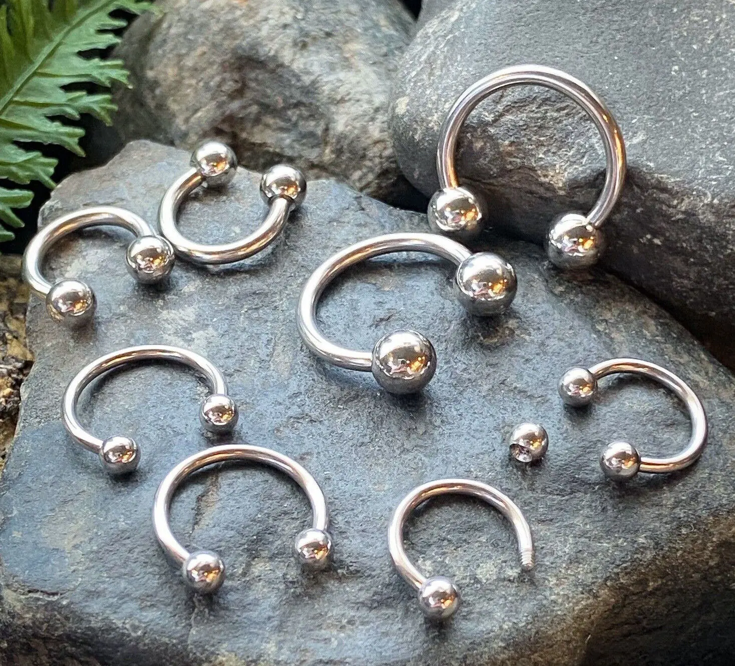 3 PAIR Value Pack 316L Surgical Steel Circular Barbells Horseshoes - 14g or 16g