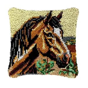 Adult Hook Set - Hook Pillowcase Set, Knitted Thread Set, Suitable for Beginners, DIY Knitted Craft Set, with Printed Canvas