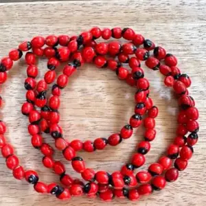 Collar de Peonia, Paeonia Santeria Ifa, Necklace Semillas de Peony