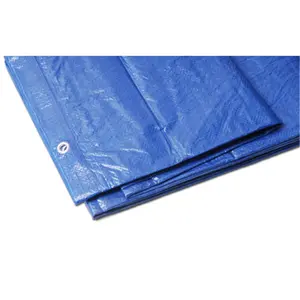 Kotap America Ltd.  20 in. W x 20 in. L Polyethylene Tarp Blue