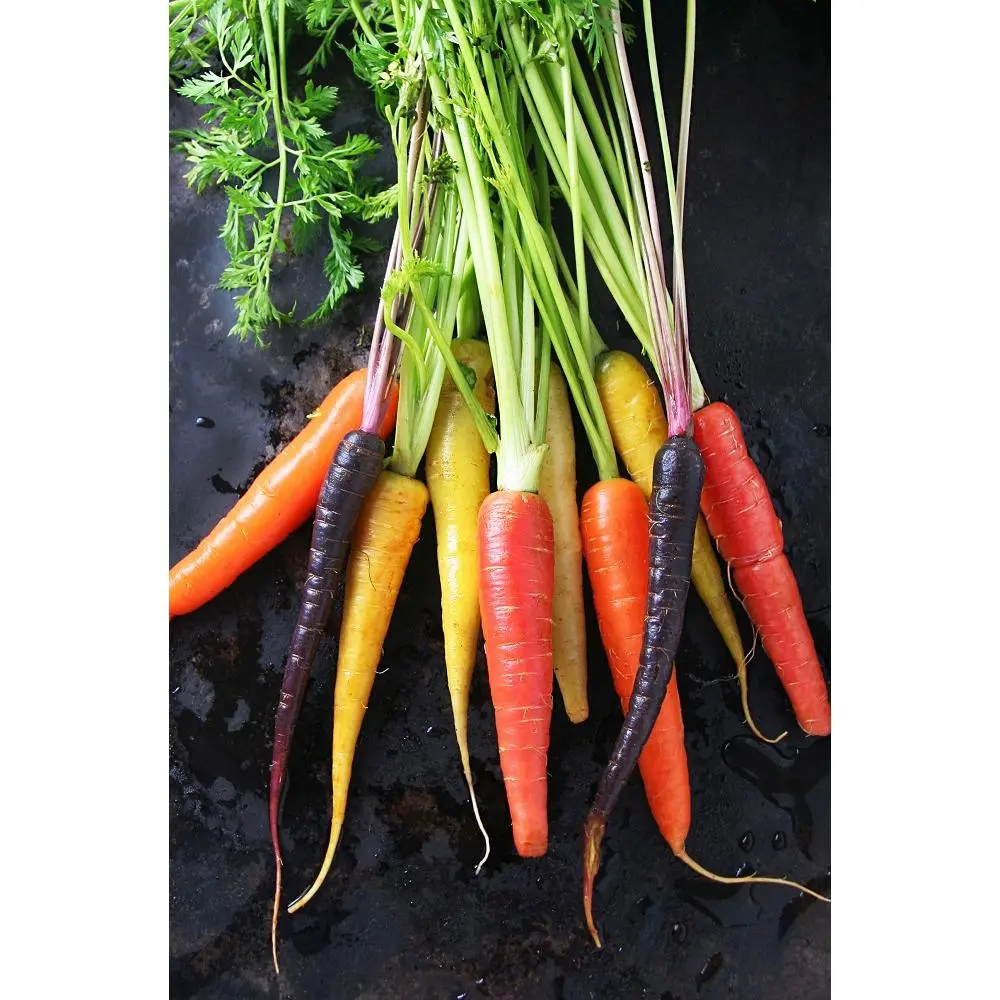 Rainbow Blend Carrot - 100 Seeds Rainbow Blend Carrot - 100 Seeds