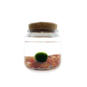 Large Moss Ball Terrarium with Carnelian Stone, 4" H, 4" Diameter, 1 lb, Easy to Maintain Decoration in Glass Container, Made in USA, Zebra Mussel-Free