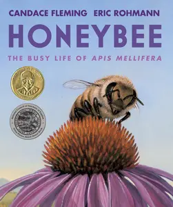 USED-Honeybee: The Busy Life of APIs Mellifera by Fleming, Candace (Paperback)