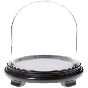 Plymor 8" x 8" Glass Display Dome Cloche