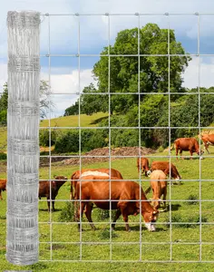 Galvanized Cattle Farm Fence, Wire Fencing Roll, Poultry Netting for Horses, Heavy Duty Garden Grid Fencing, for Animals Protection & Garden Grid