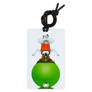 Yay Novelty 2001 Stylish & Secure Luggage Tag for Backpacks Pet Carriers & More - Serenity
