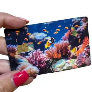 "Plenty of Fish in the Ocean" Credit-Debit Card Stickers - DIY Scrapbooking & Stamping Toy Accessory