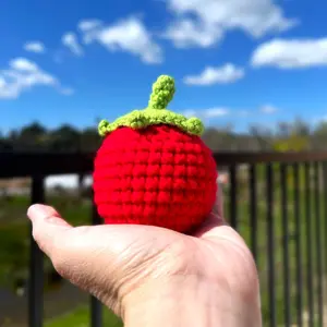 Handmade Crochet Knitted Vegetable Tomato - Gift for Valentine's, Birthday, Mother's Day, Office/Home Decor