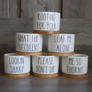 Funny Succulent Pots, Mini Plant Pot With Bamboo Tray, ONE POT