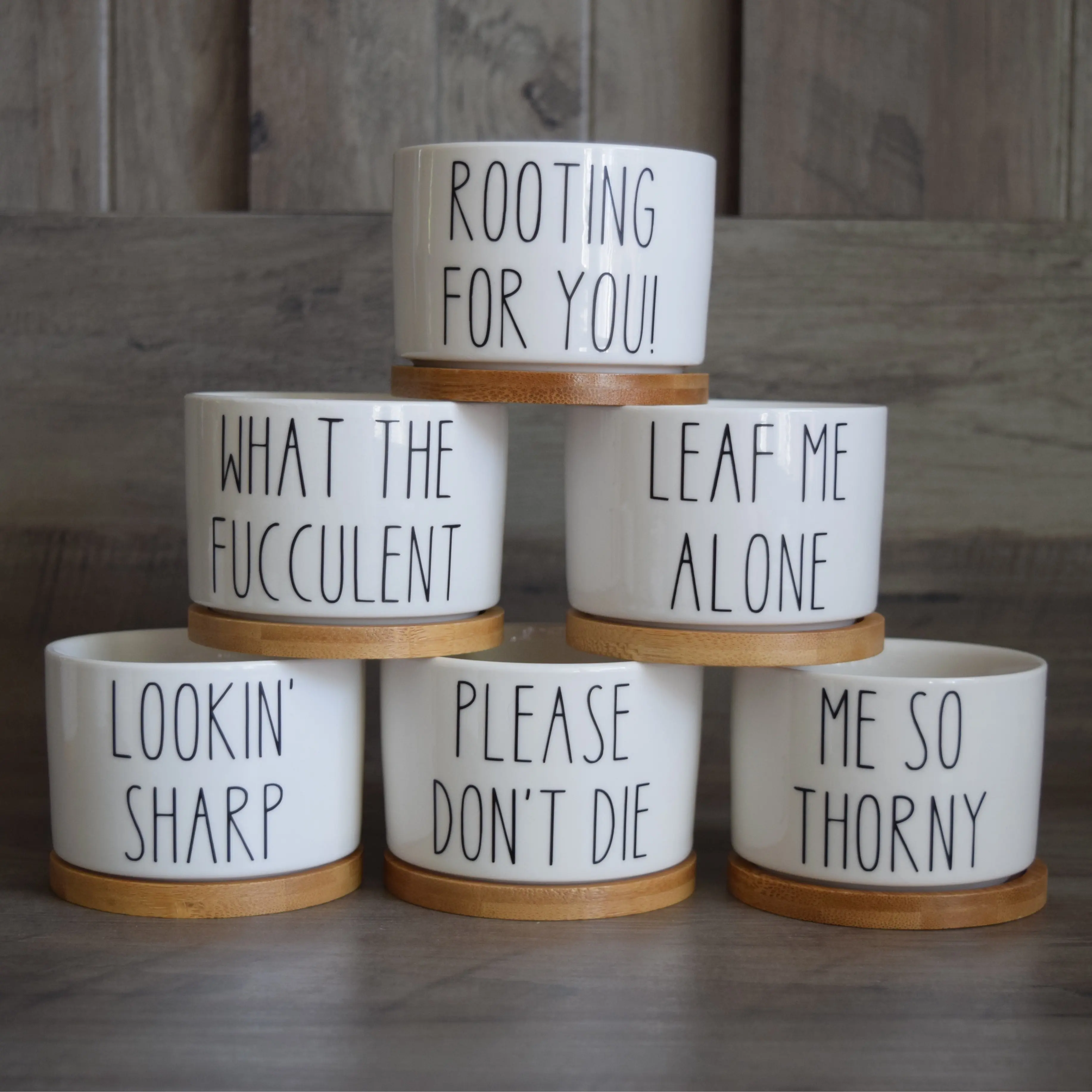 Funny Succulent Pots, Mini Plant Pot With Bamboo Tray, ONE POT - TikTok Shop