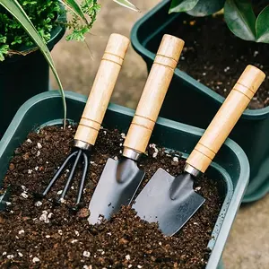 3pcs/set Garden Tool Set, Tool Kit - Rake Tip Shovel Large Gardening Mini Succulent Plant Loose Soil Flower Shovel, Aluminum Alloy Gardening Supplies With Handle For Gardening Digging, Hand Tools - For Gardeners & Plant Lovers
