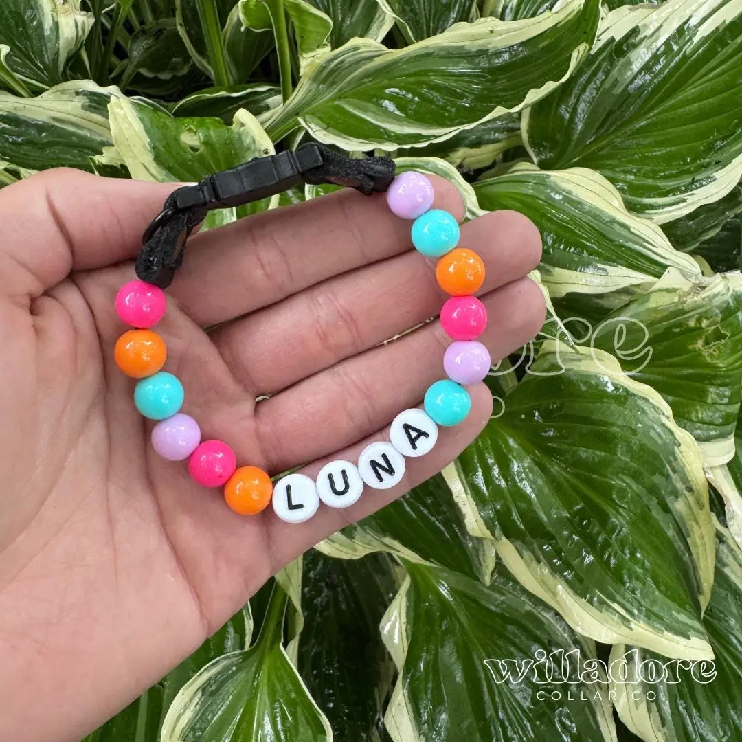 Custom Friendship Cat Collar | You Choose the Colors!