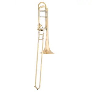 S.E. Shires Q Series Large Bore Tenor Trombone Gold Brass Bell w/Axial Valve (TBQ30GA)
