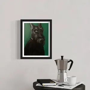 Pet portraits