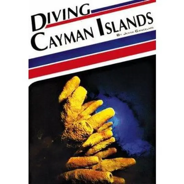 USED-Diving Cayman Islands by Jesse Cancelmo (Paperback)