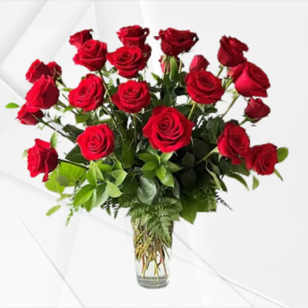 24 Crimson Luxe Red Roses – Two Dozen Premium Red Roses