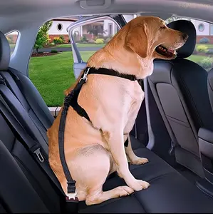 Adjustable Pet Seat Belt Leash, Durable Car Safety Leash for Small Dogs, Scalable Dog Traction Rope for Car Seat, Safety Harness, Pet Supplies for Daily Use tiktokshopspringglowup
