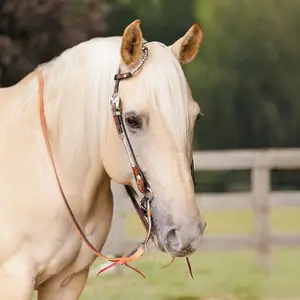 Schneiders One Ear Silver Wave Two-Tone Show Headstall