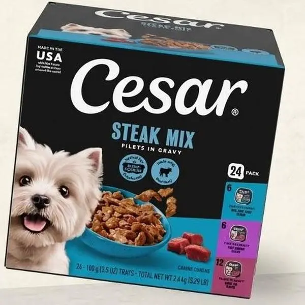Cesar Filets In Gravy Variety Flavors Wet Dog Food Adult 3.5 oz Easy Peel Trays 24 Pack Gourmet Meat Meal For Dogs