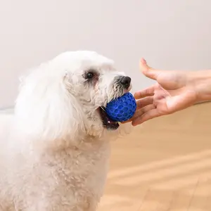 Durable Chew Toy for Biting Dogs, Sound Ball for Small Medium Dogs, Fun Durable Dog Squeaky Toy, Perfect for Chewing Dogs, Interactive Tough Chewer