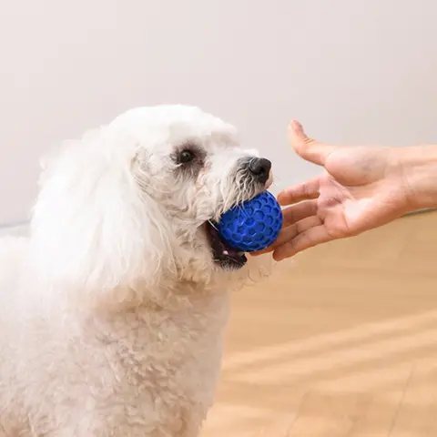 Durable Chew Toy for Biting Dogs, Sound Ball for Small Medium Dogs, Fun Durable Dog Squeaky Toy, Perfect for Chewing Dogs, Interactive Tough Chewer