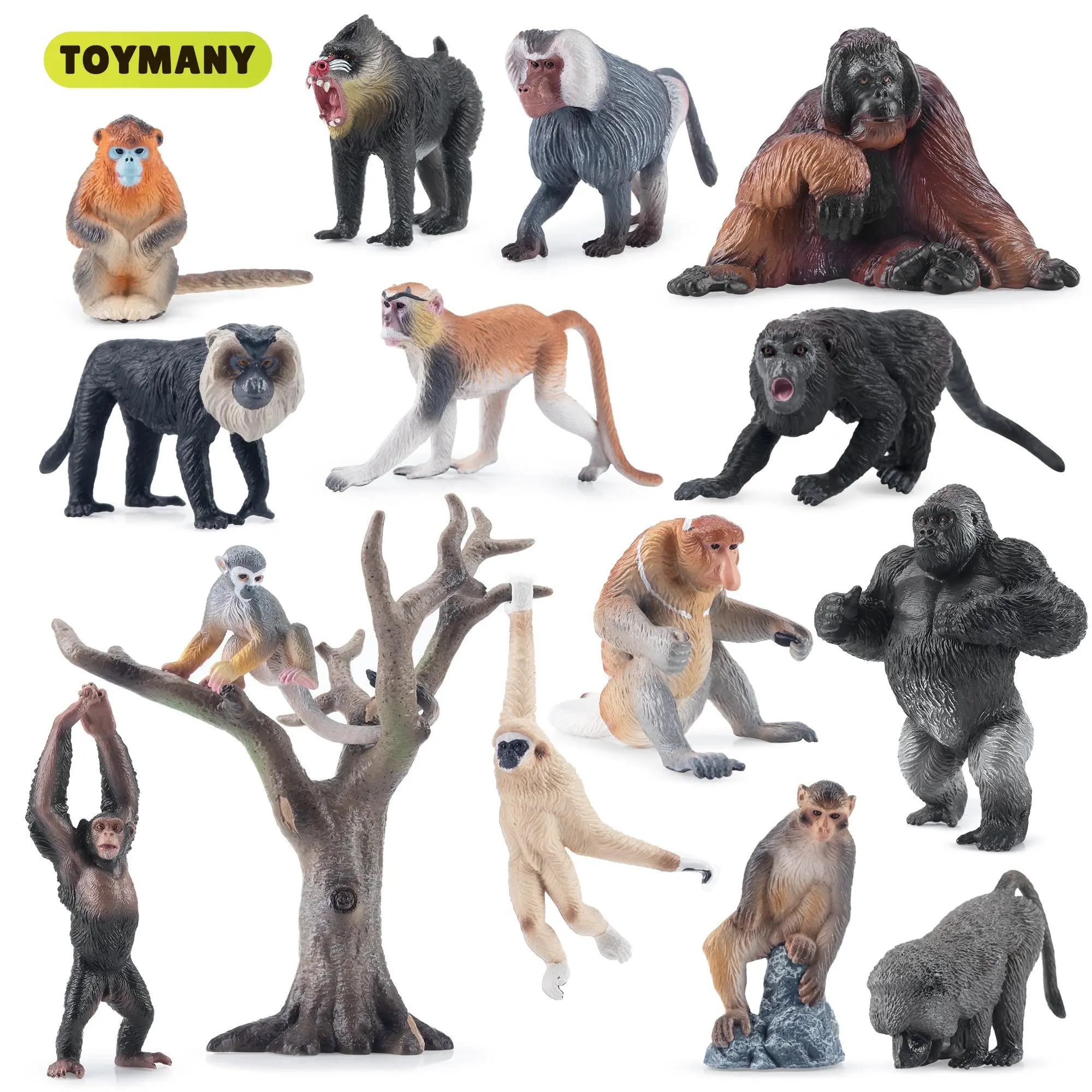TOYMANY 15pcs PVC Plastic Monkey & Primate Figurines Toyset - Unisex, Realistic Jungle Action Figures, Chimpanzee/Gorilla/Orangutan Incl., Decorative Educational Gift for 3+ Kids