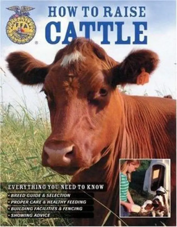 USED-How To Raise Cattle: Everything You Need To Know by Philip Hasheider (Paperback)