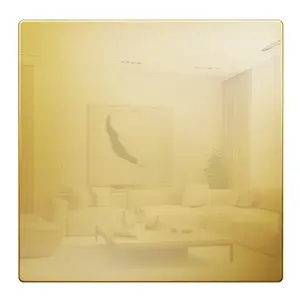 LIDER Screwless Blank Metal Wall Plate, Temperature and Impact Resistant, 2-Gang, Mid-Size