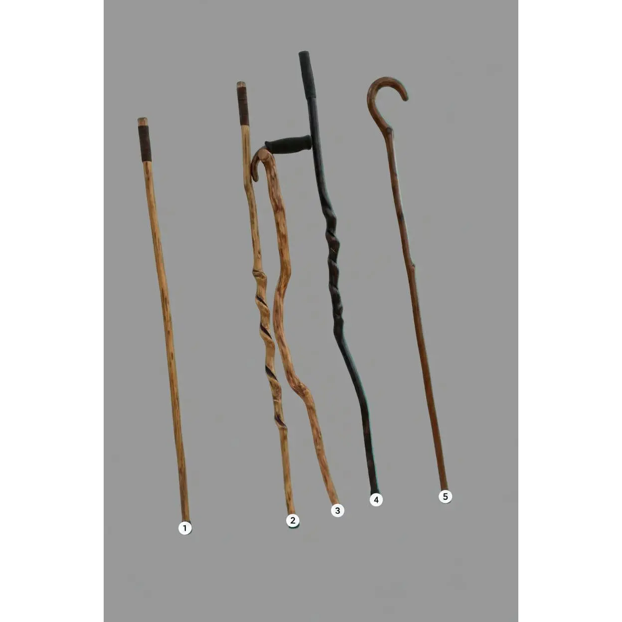 Hand-carved Walking Sticks