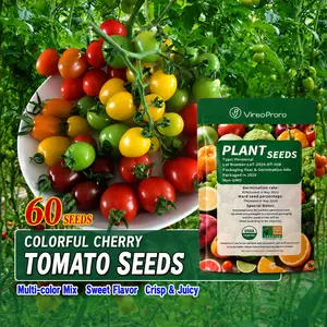 Mixed Color Cherry Tomato Seeds - Easy to Grow Heirloom Mini Tomato Variety Pack for Indoor & Outdoor Planting - Non-GMO Garden Seeds for Beginners, Patio & Home Garden Gift