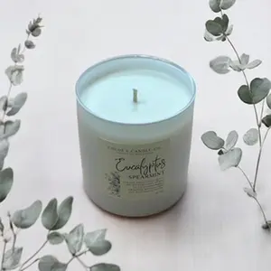 Chloe's Candle Co. - Eucalyptus Spearmint 10 oz Candle