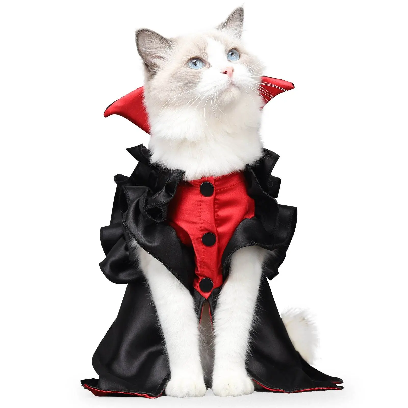 Halloween Cat Vampire Costume