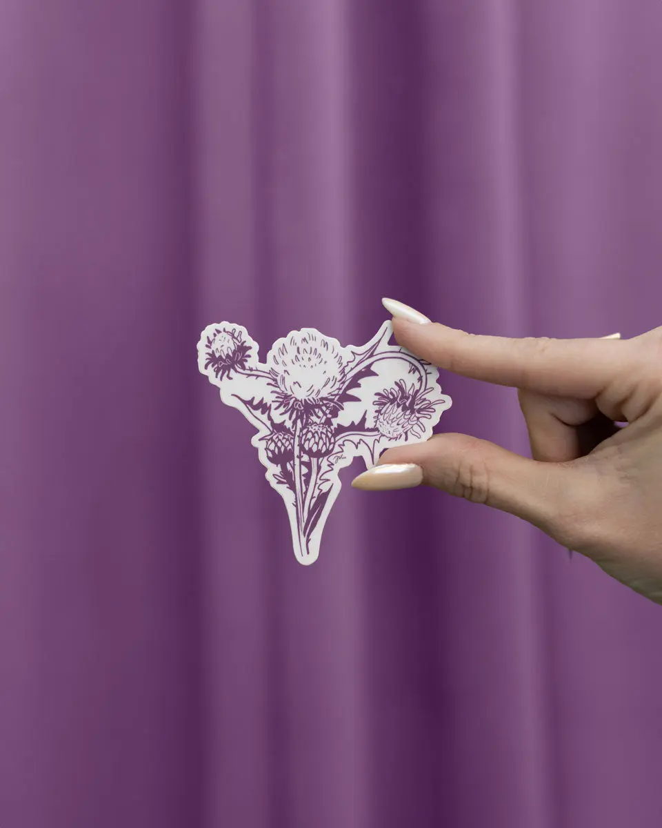 Uterine Anomaly Stickers