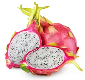 White Dragon Fruit Plant Live, 4 Inch Pot, Pitaya Plant, Live Dragon Fruit Tree, Sweet Fruit Plant