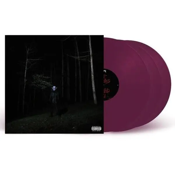 If Looks Could k*ll - Destroy Lonely - Record Album, Vinyl LP