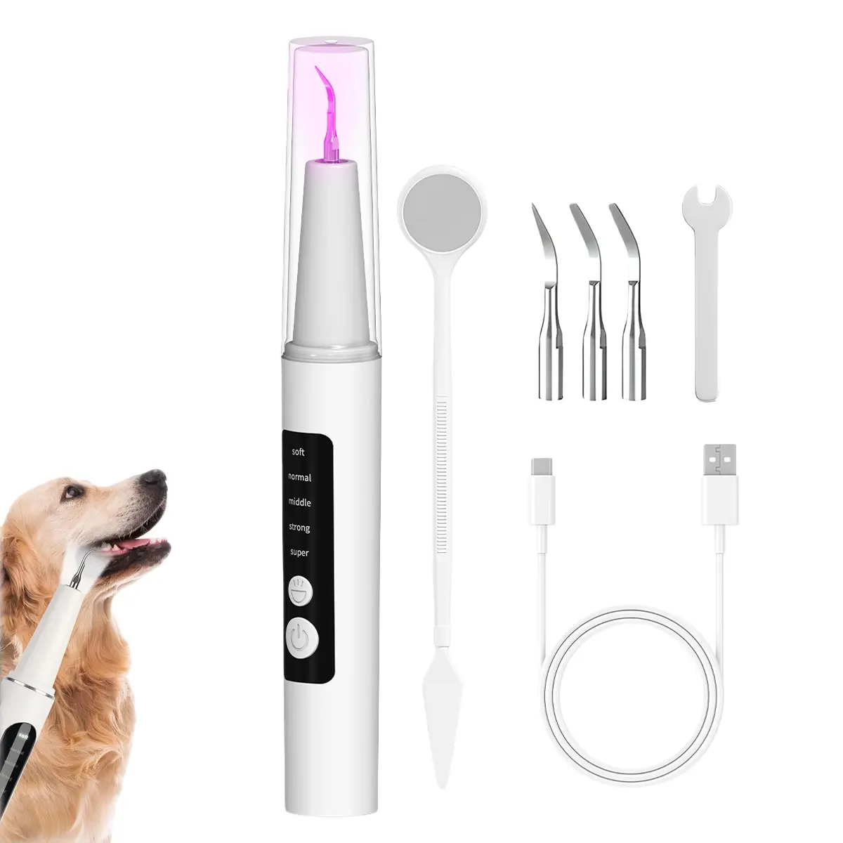 Dog Plaque and Tartar Remover Plaque Remover for Teeth with Led Light 5 Adjustable Modes Electric Toothbrush Teeth Cleaning Kit for Dog and Cat Pet Ultrasonic Tooth Cleaner
