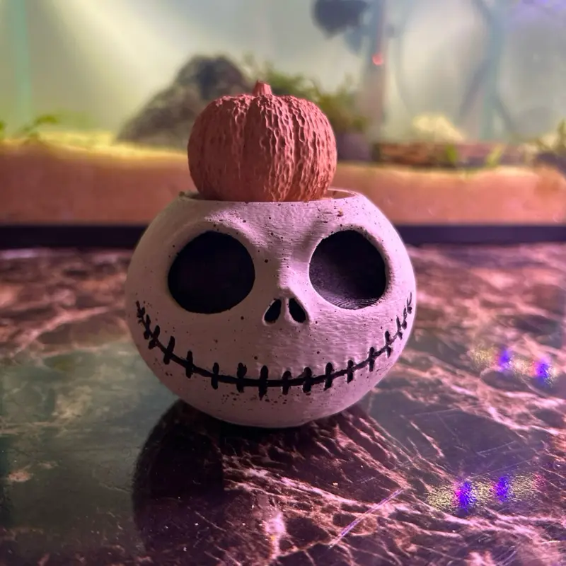 Halloween Decorative Skull Pumpkin topper