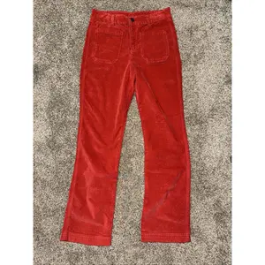 Women’s Size 6 Free People Pants Velvet