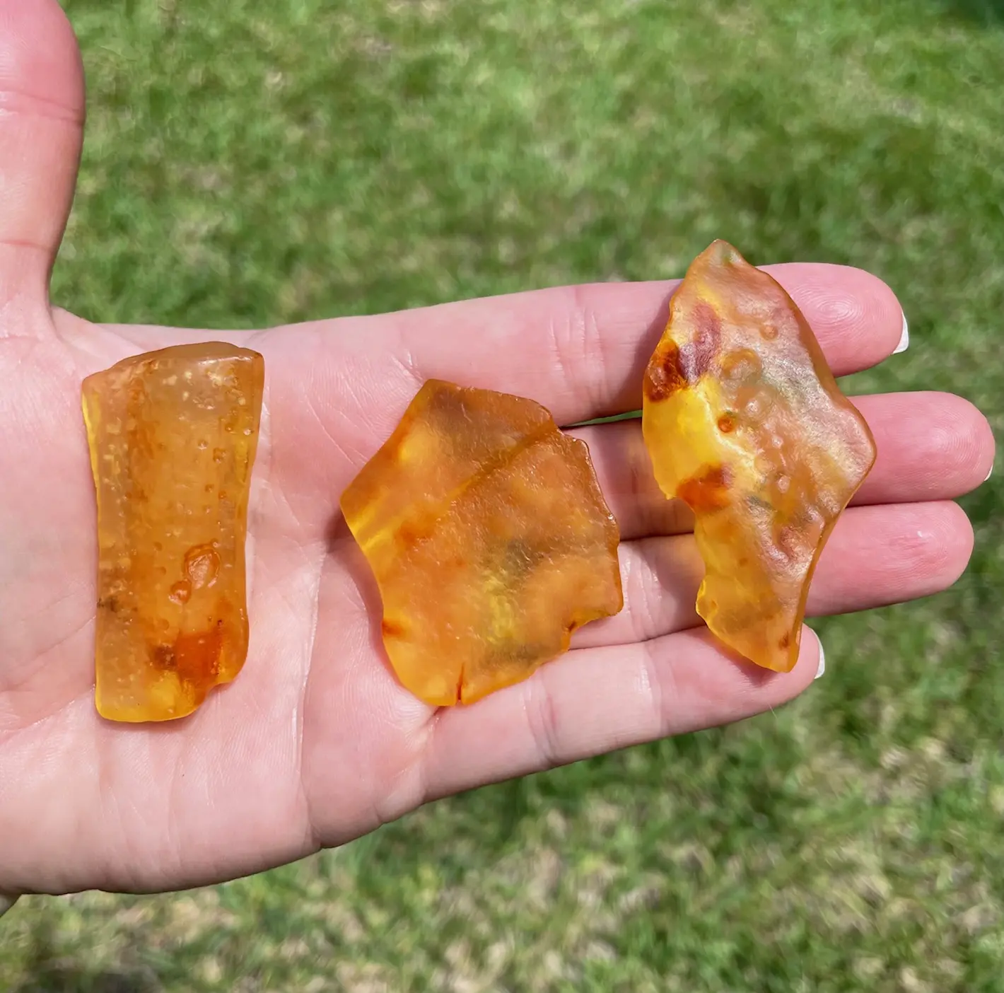 Colombian Amber