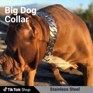 4:00AM 32mm Stainless Steel Dog Luxury Golden Dog Collars and Leashes Big dog Chain Secure Lock Necklace for Pet DIY Hip Hop Jewelry