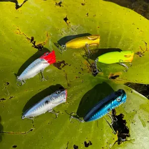 Striker Popper Lure by Tag Em' Out