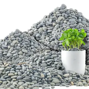 45 LB Mexican Beach Pebbles, 0.4-1 Inch  Unpolished Bulk Rocks, Decorative River Rocks for Landscaping Garden Paving , Rocks for Walkways and Outdoor Decorative Stone, Grey