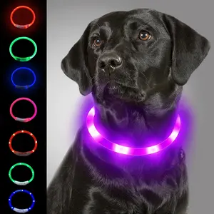 Dog Light up Collar NONE