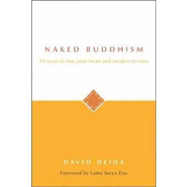 USED Book - Naked Buddhism: 39 Ways to Free Your Heart and Awaken to Now by David Deida (Paperback) - english