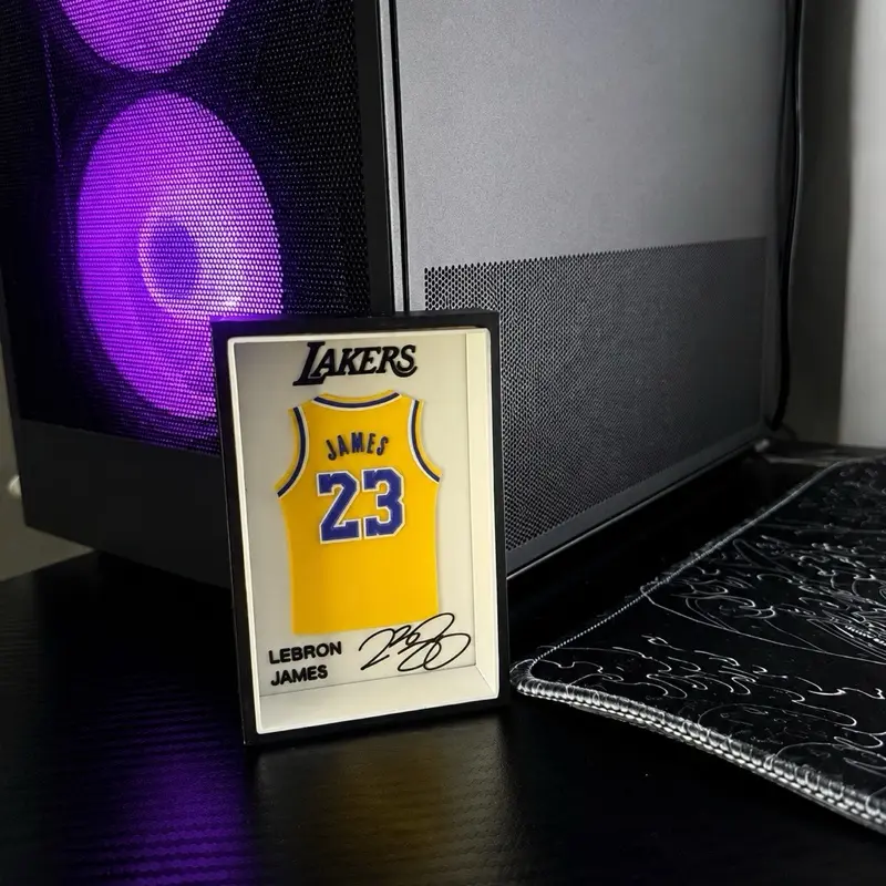 Lebron James jersey display