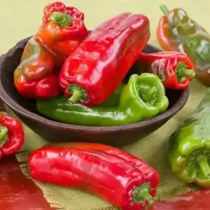 Marconi SWEET Pepper Seeds ,CAPSICUM annuum